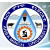 Arba Minch University Logo