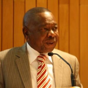 Blade Nzimande