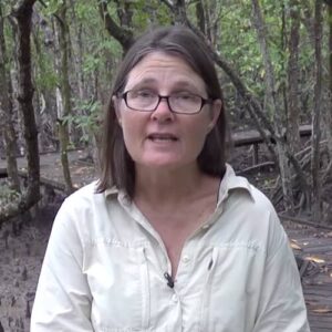 Catherine E. Lovelock