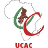 Catholic Institute of Yaounde Logo