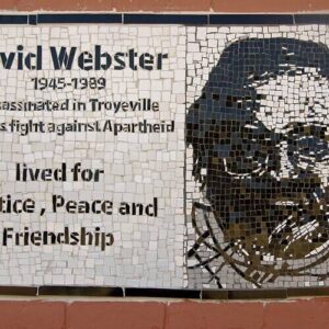 David Webster