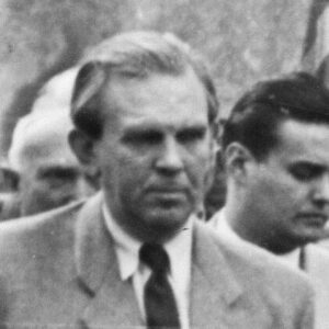 Ernő Mihályfi