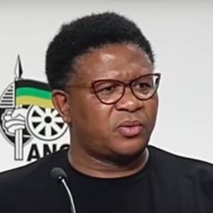 Fikile Mbalula