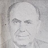 Foto Çami