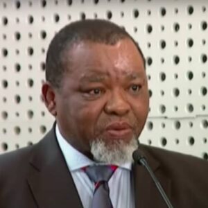 Gwede Mantashe