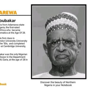 Iya Abubakar