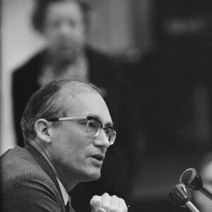 Johan Witteveen