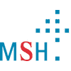 Medical School Hamburg Logo
