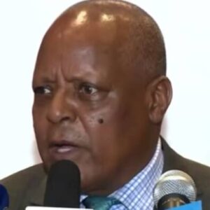 Merera Gudina