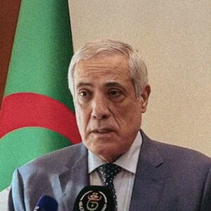 Nadir al-Arbawi
