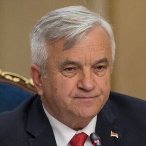 Nedeljko Čubrilović