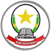November 11 University Logo
