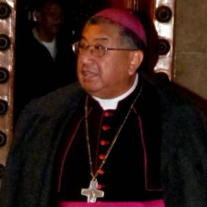Oscar Julio Vian Morales