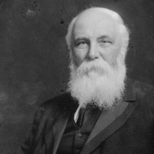 Robert Stout