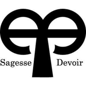 Thies Polytechnic School logo