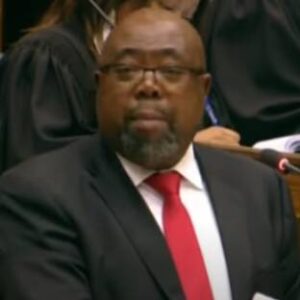 Thulas Nxesi