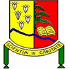 University of Mbuji-Mayi Logo
