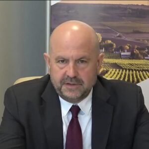 Vladimir Bolea