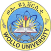 Wollo University Logo