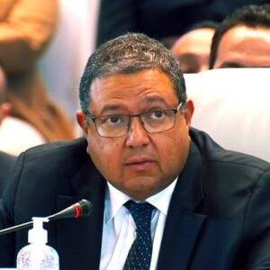 Ziad Bahaa-Eldin