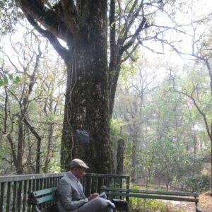 Abhay Kumar
