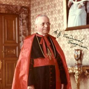 Amleto Giovanni Cicognani