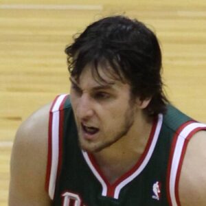 Andrew Bogut