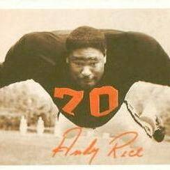 Andy Rice
