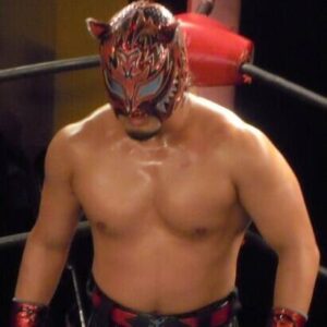 Tigers Mask