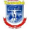 Ayatollah Borujerdi University logo