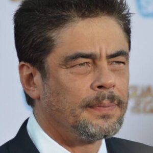 Benicio del Toro
