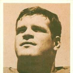 Bill Bergey