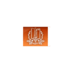 Black Sea National University Logo
