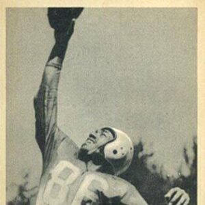 Bob Mann