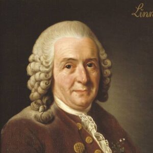 Carl Linnaeus