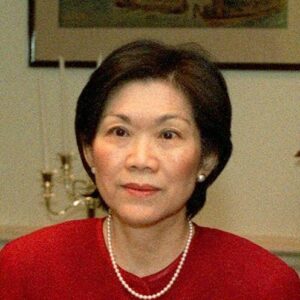 Chan Heng Chee