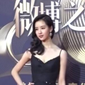 Chen Duling