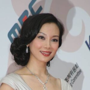 Chen Shu