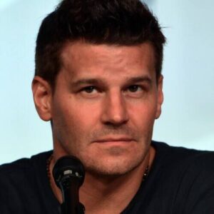 David Boreanaz