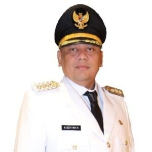 Dedy Yon Supriyono