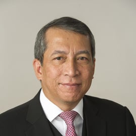 Dian Triansyah Djani