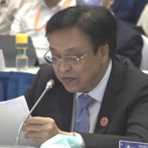 Feng Fei