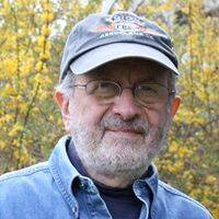Gil Cohen