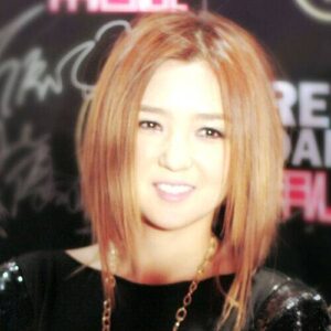 He Jie