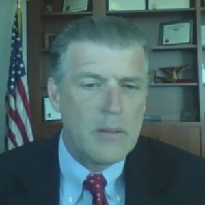 Iain D. Johnston