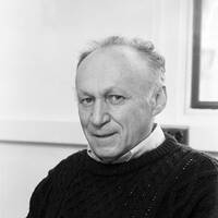 Ilya Piatetski-Shapiro