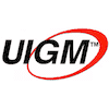 Indo Global Mandiri University Logo