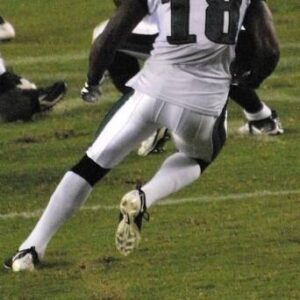 Jeremy Maclin