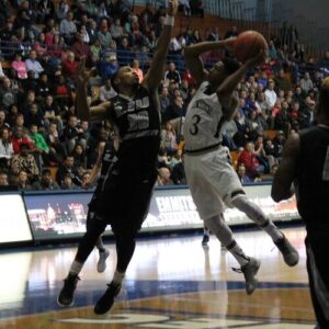 Junior Robinson
