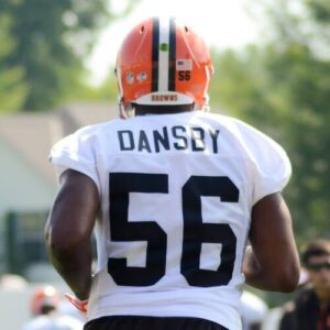 Karlos Dansby